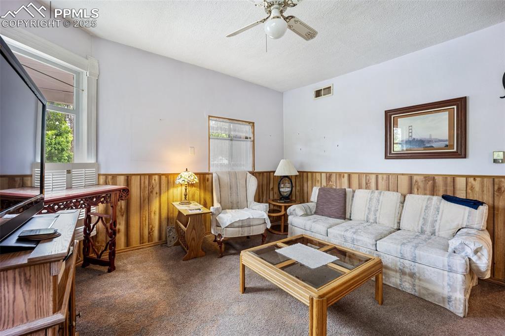 Image 14 of 48: Carpeted living area featuring healthy amount of natural light, wooden wall