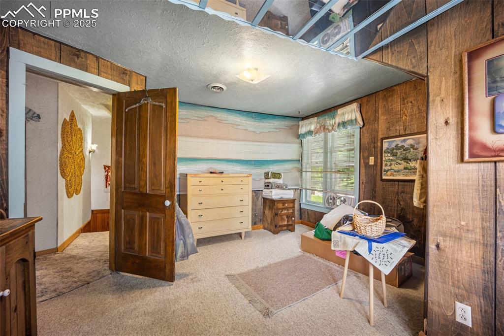 Image 26 of 48: Living area with wooden walls, carpet, and a textured ceiling