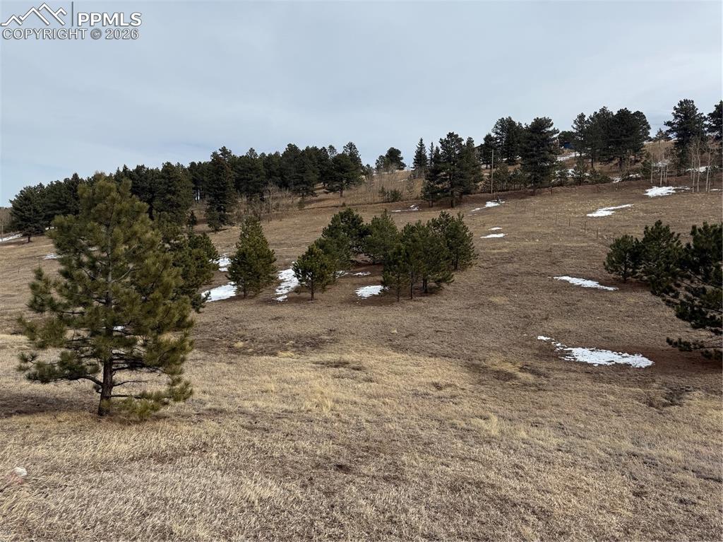 Image 35 of 38: Floor plan with garage