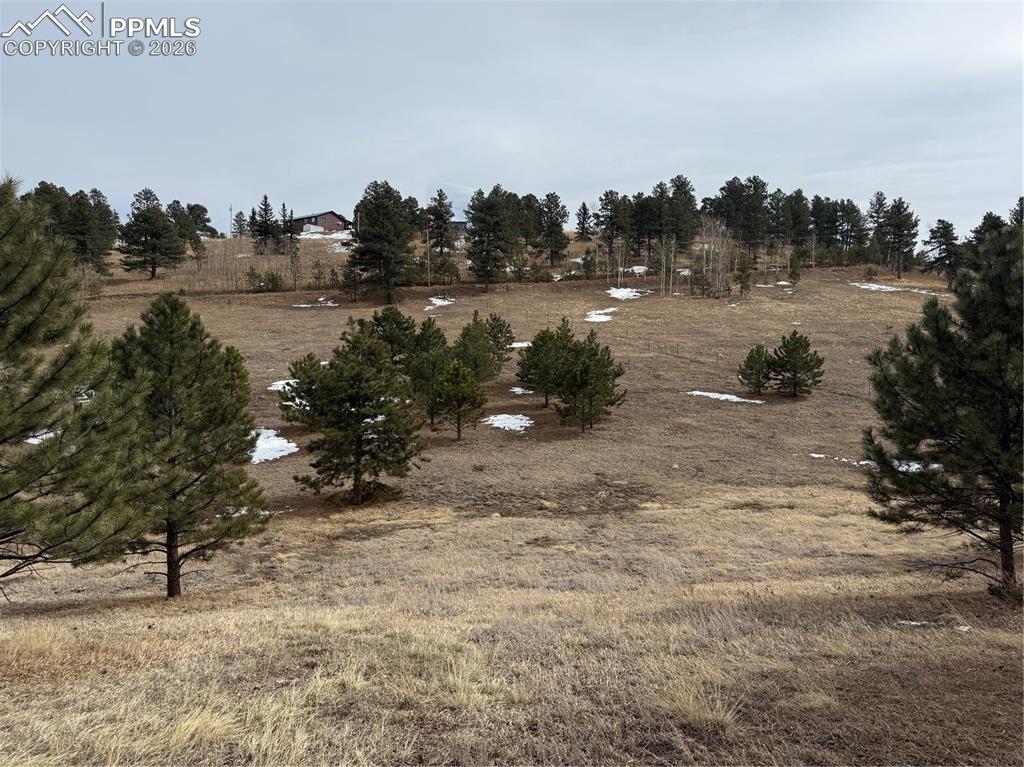 Image 36 of 38: Fenced land