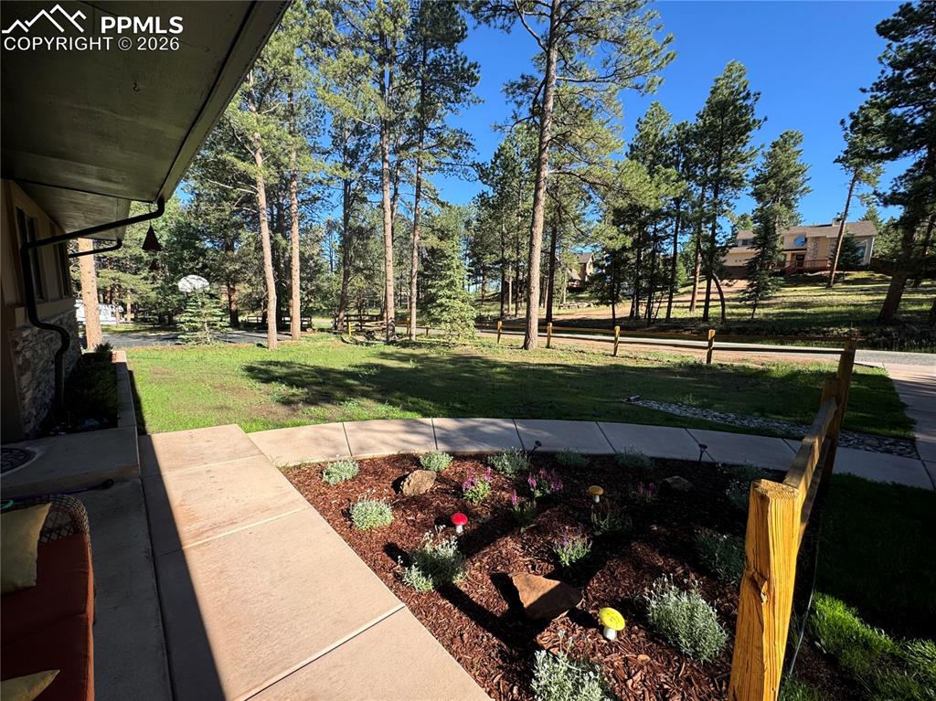 Image 6 of 40: Not current; taken when things were in bloom last year