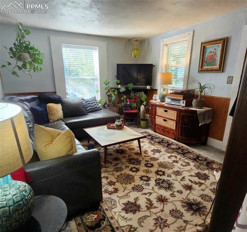 Image 15 of 29: Living Room