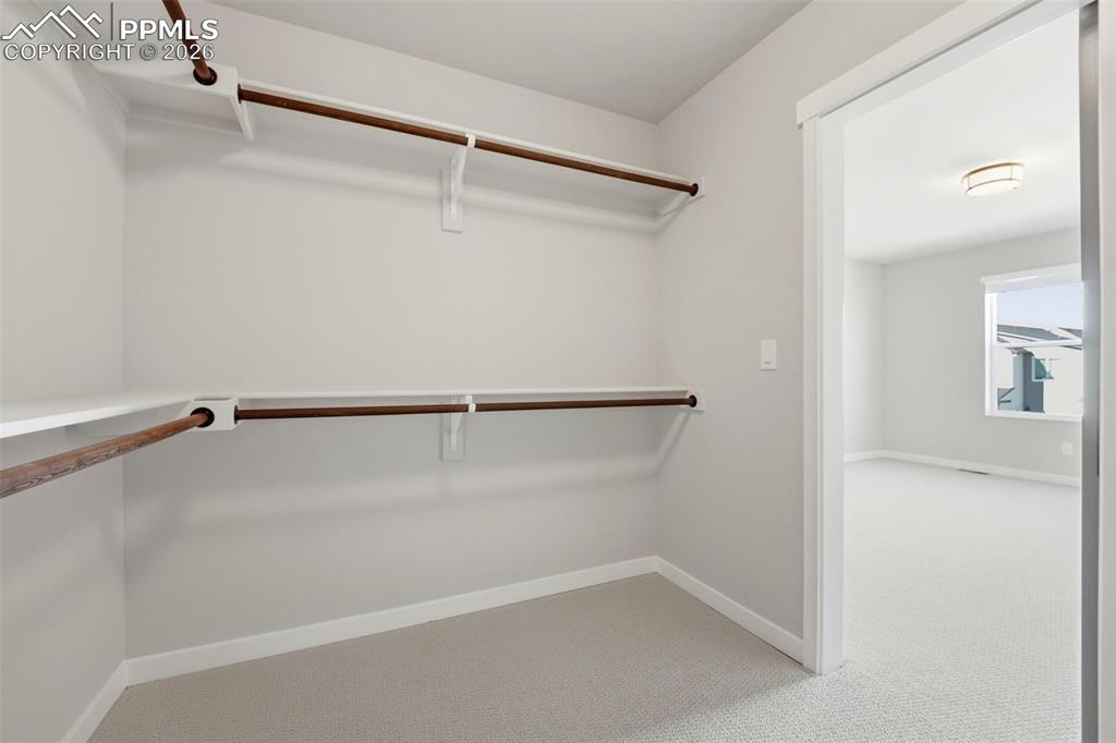 Image 29 of 41: No Description Available