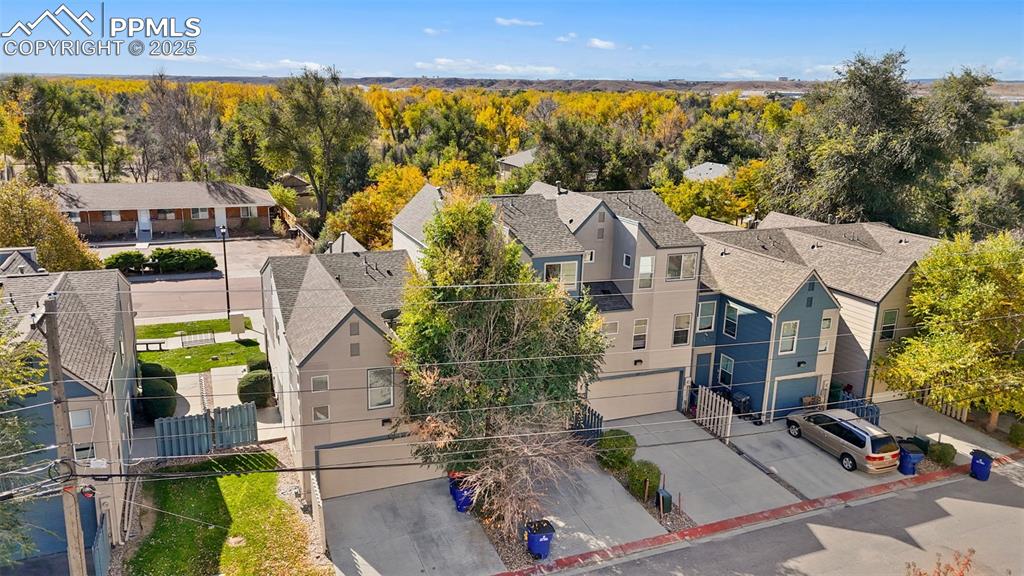 Image 26 of 34: New Carpet!