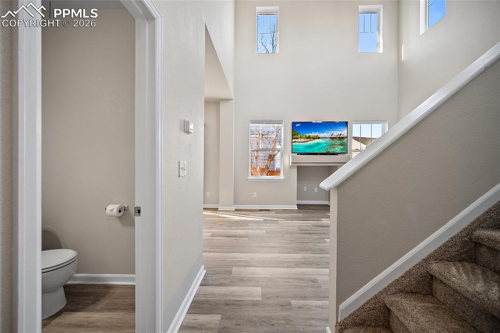 Image 5 of 42: Other