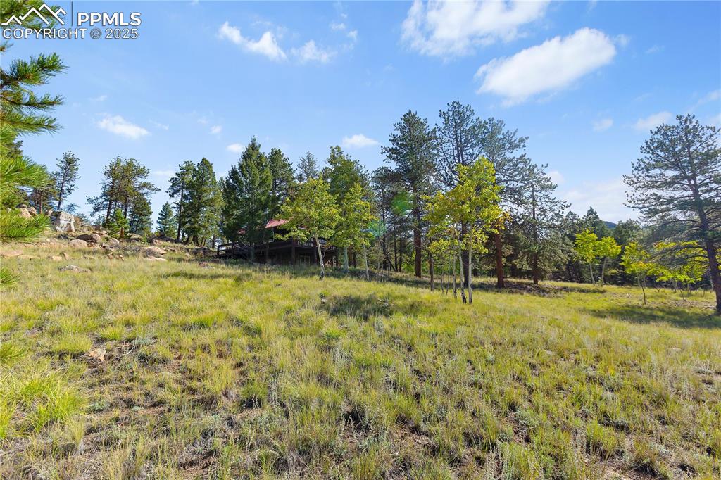 Image 18 of 23: Moderately Treed with Pine and Aspen