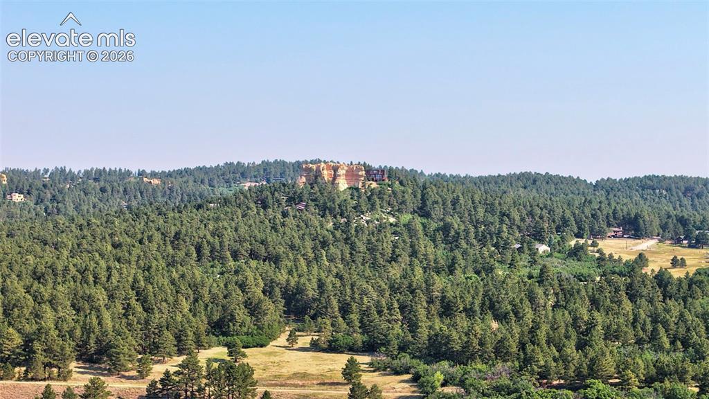 Image 38 of 43: Expansive natural landscape featuring dense evergreen forests and open clea