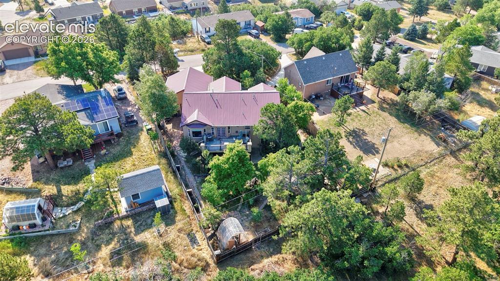 Image 42 of 43: Expansive property featuring a red metal roof, multiple mature trees, and a