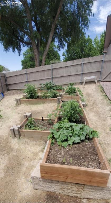 Image 36 of 41: Fenced backyard featuring garden boxes