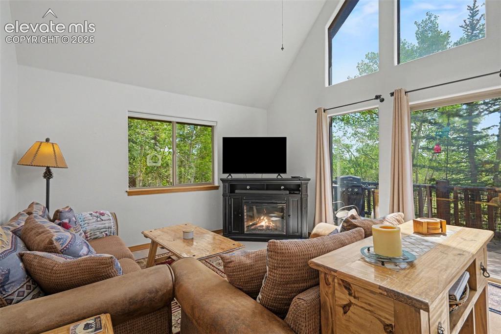 Image 11 of 26: Living Room