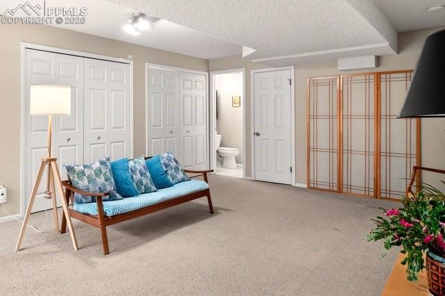 Image 24 of 32: Basement living area with a private 3/4 bath, perfect for guests.