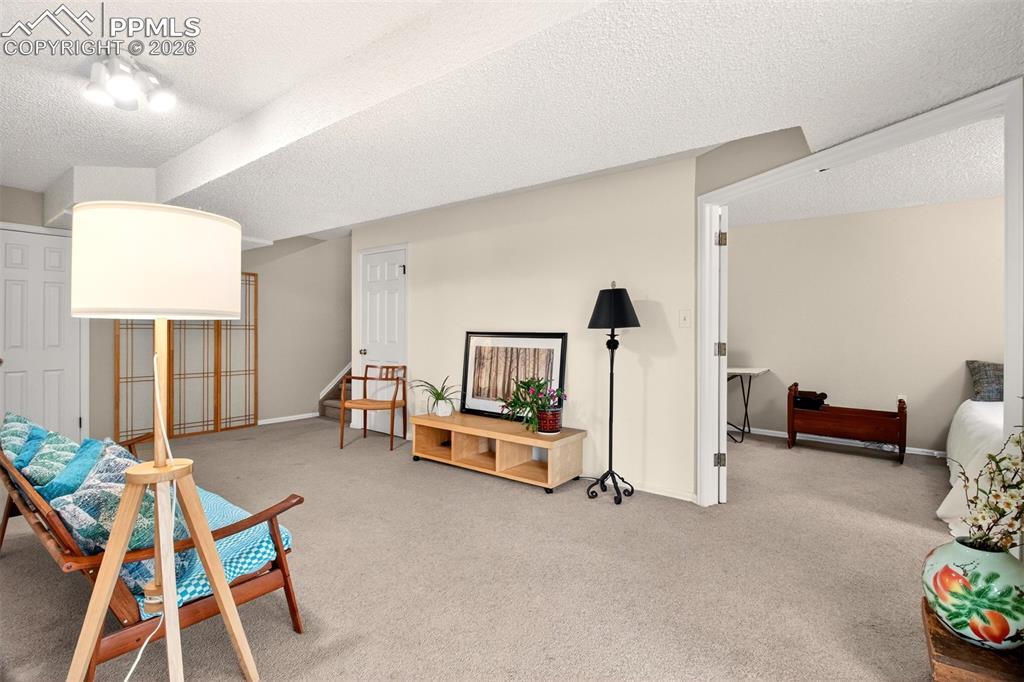 Image 25 of 36: Finished basement offers a flexible family room and a private bedroom.