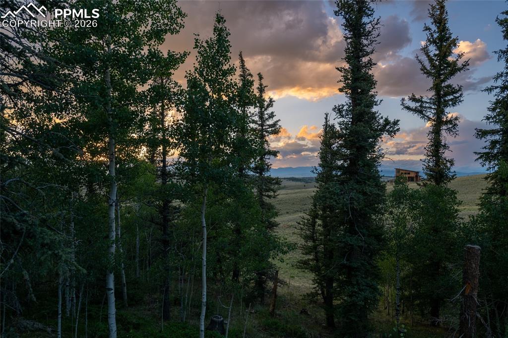 Image 39 of 50: Other