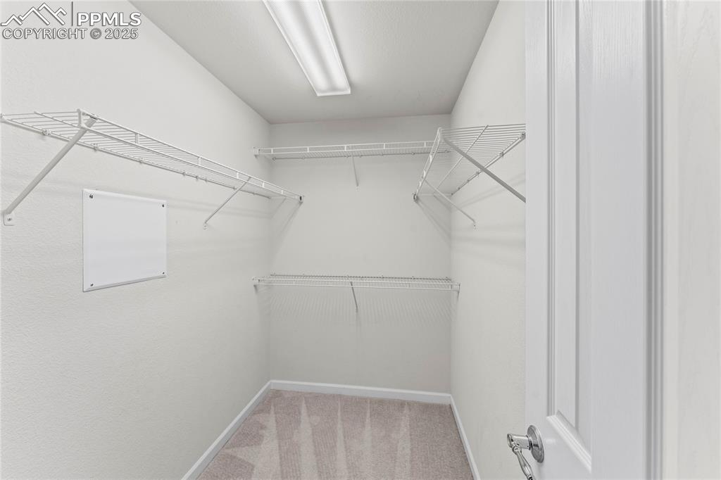 Image 18 of 26: Spacious closet featuring light colored carpet