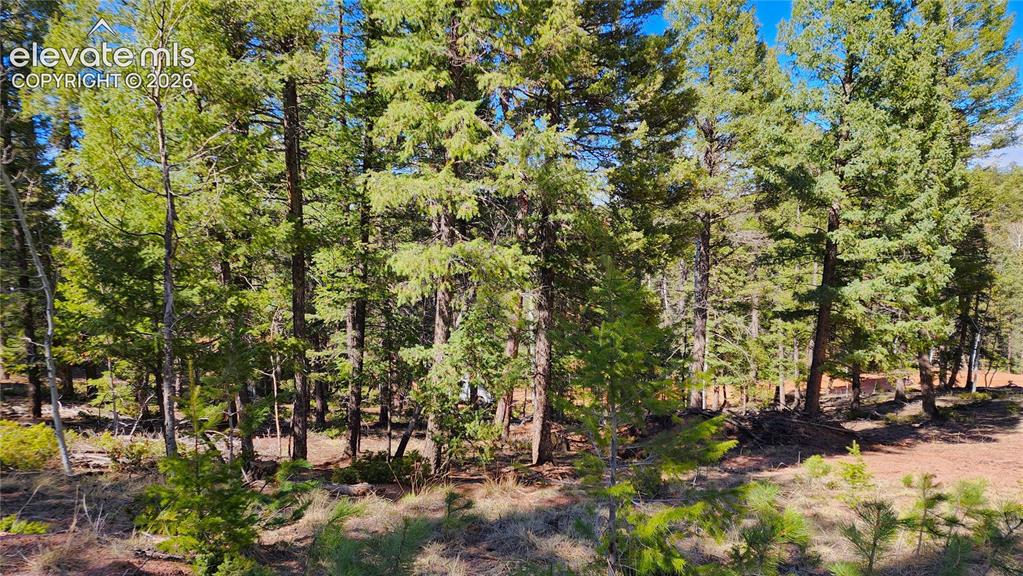 Image 8 of 12: Other