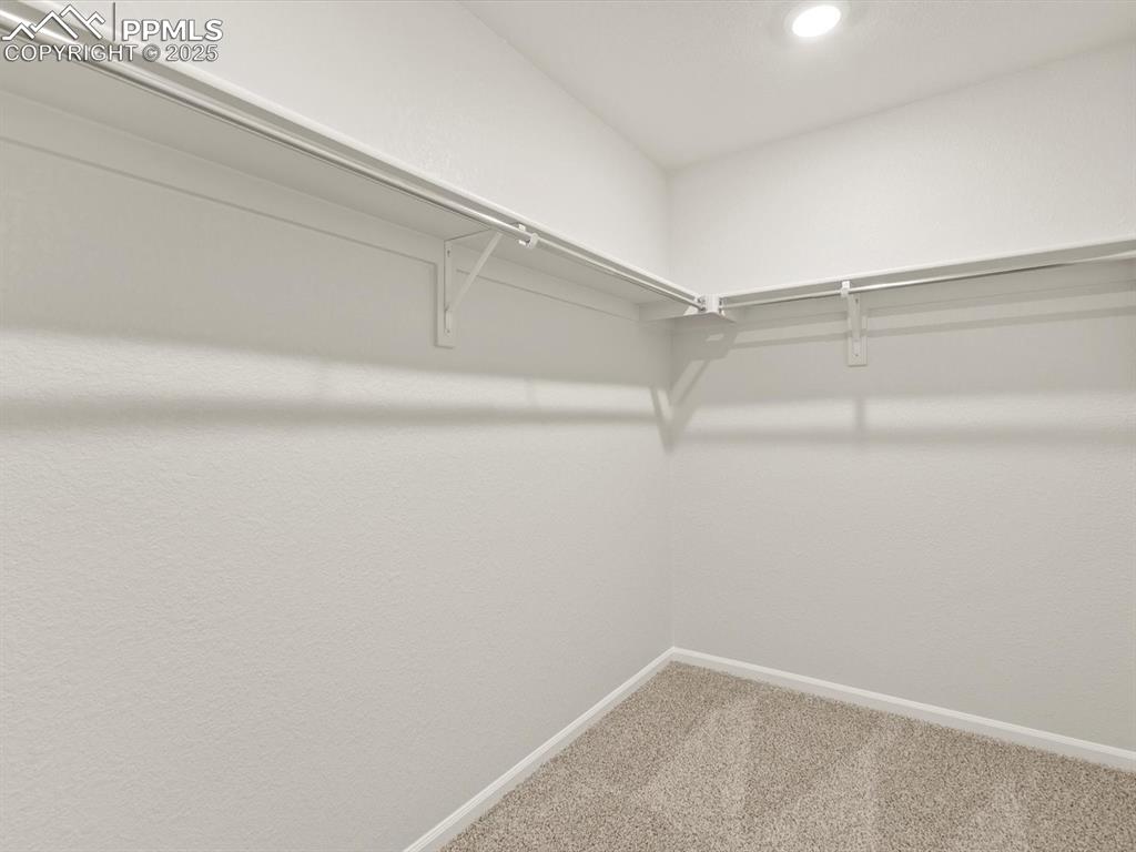 Image 15 of 23: Spacious closet featuring carpet flooring