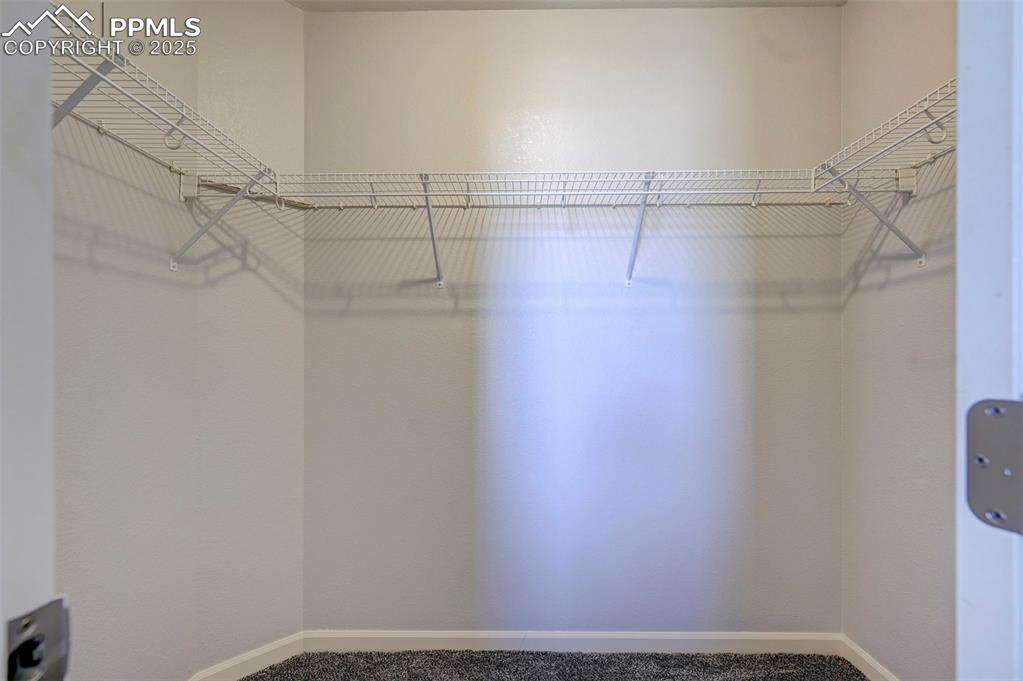 Image 33 of 37: Spacious closet with carpet floors
