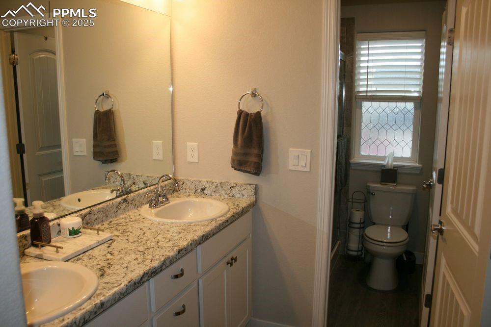 Photo 6