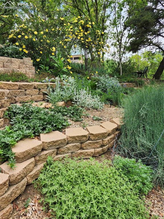 Image 47 of 50: Terraced garden beds in foreground; view of Cheyenne Mtn in background