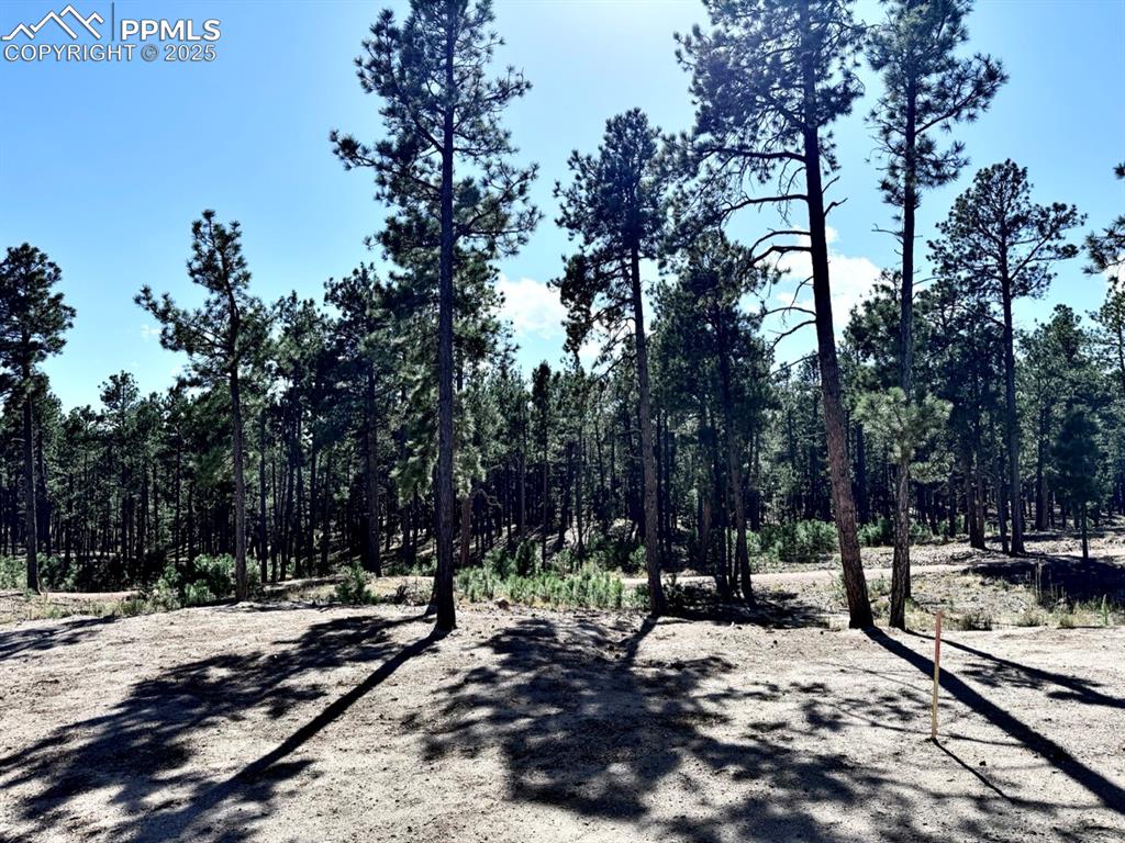 Image 27 of 32: Hiking Trails