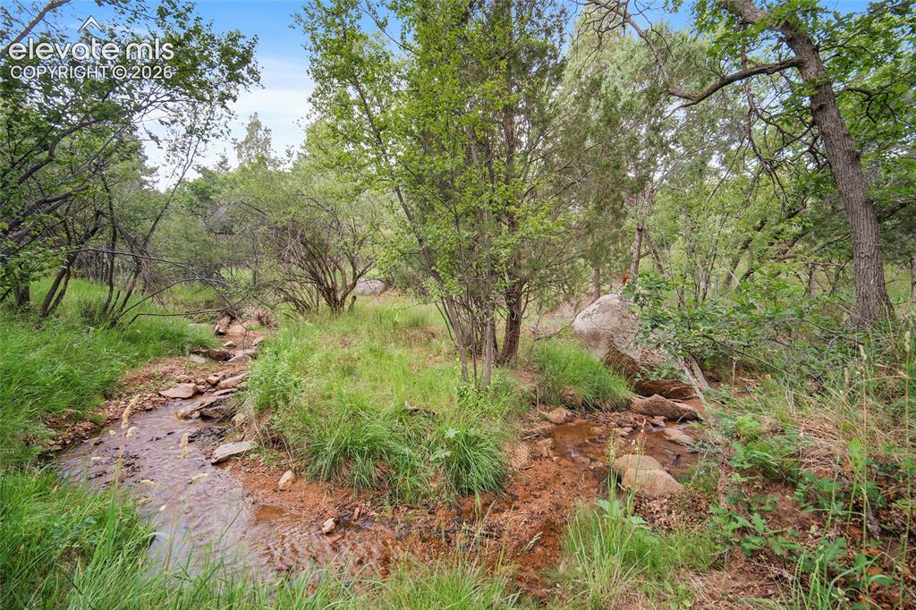 Image 36 of 49: Sutherland creek running through the backyard