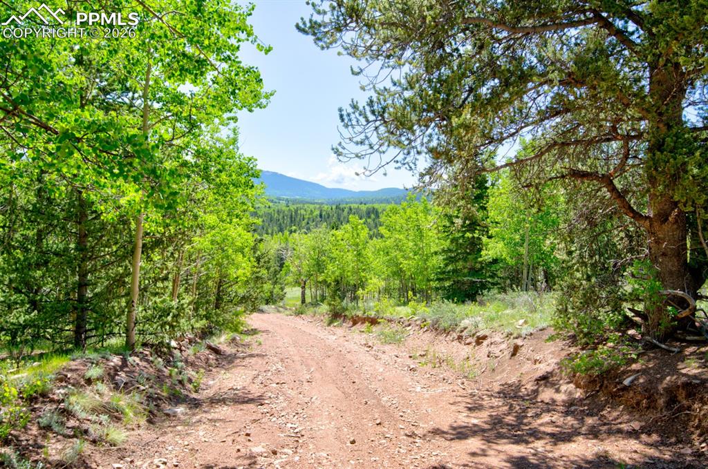 Image 10 of 16: Community