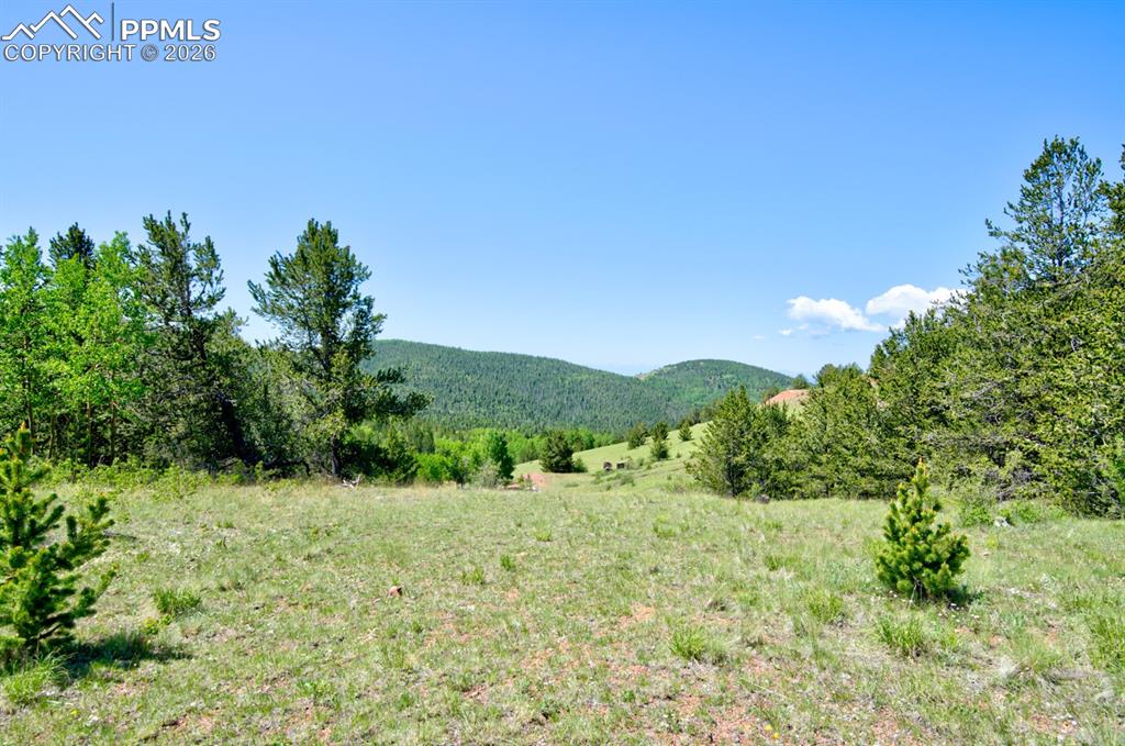 Image 12 of 16: View