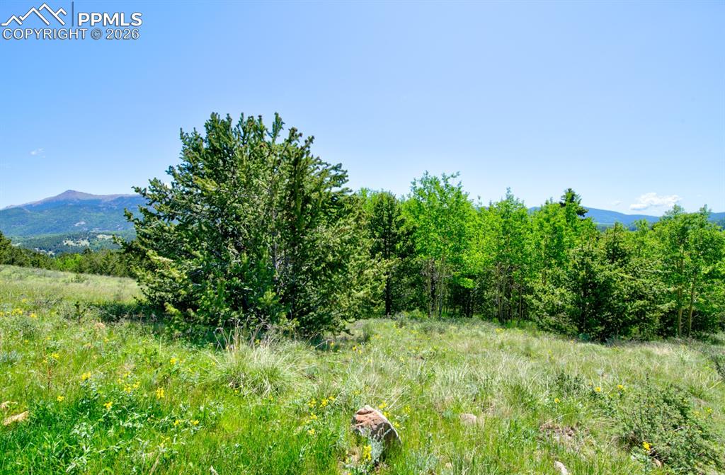 Image 6 of 16: Other