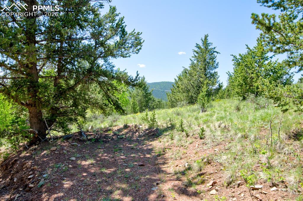 Image 8 of 16: Other