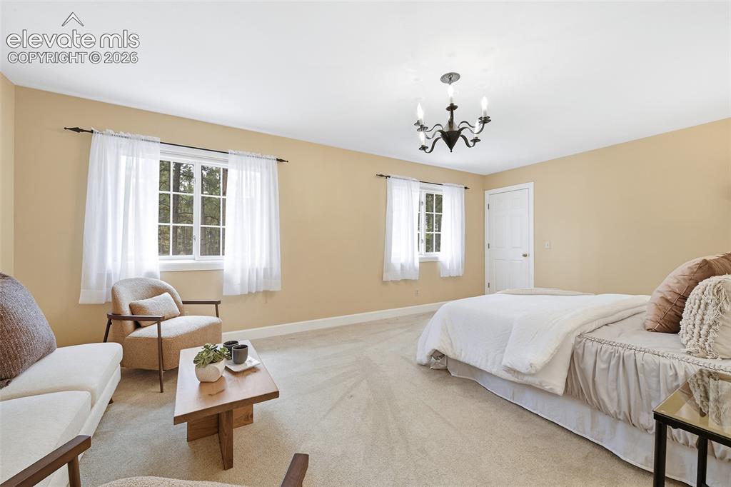 Image 21 of 50: So much space to relax!