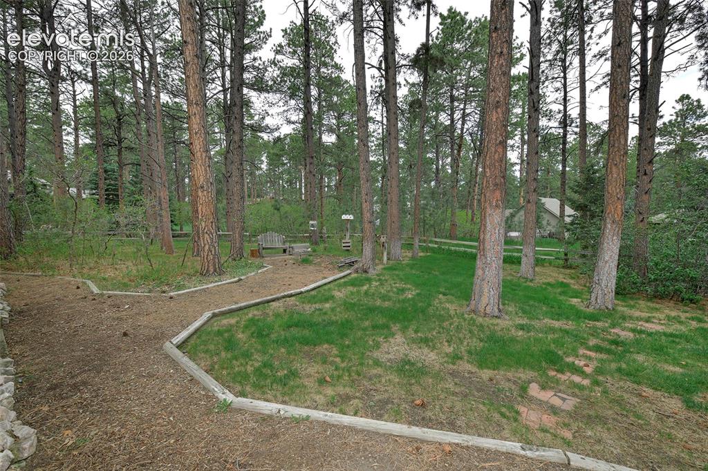 Image 43 of 50: Paths for meandering