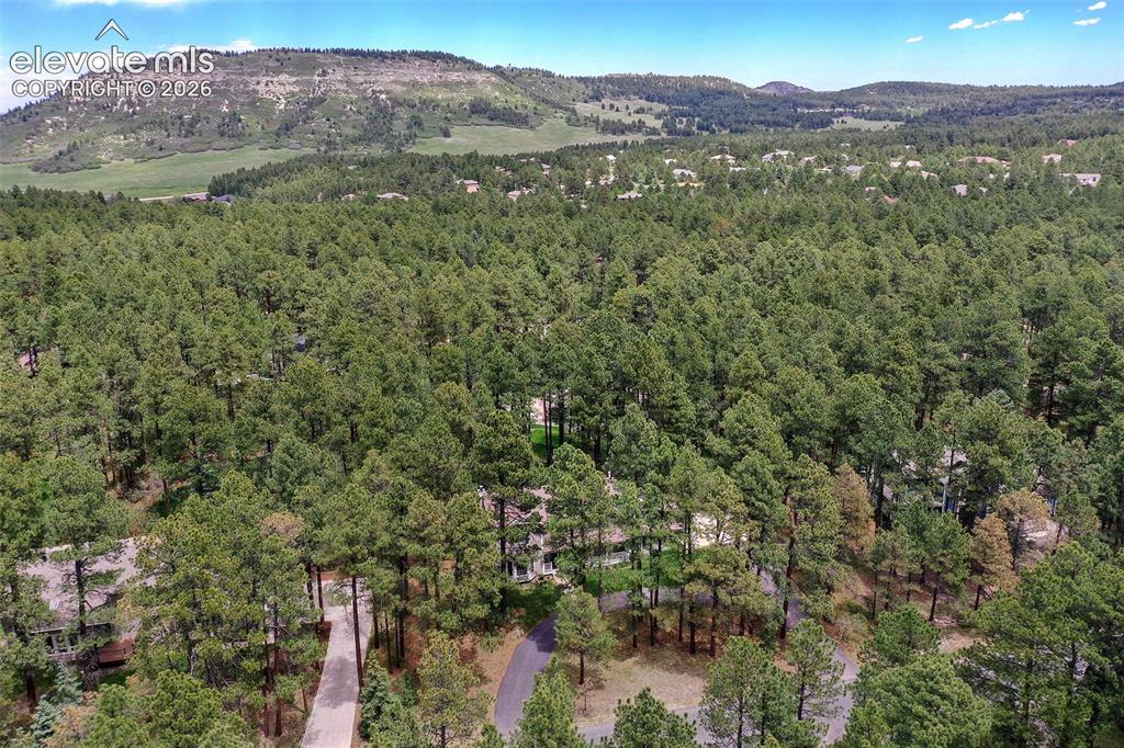 Image 48 of 50: Settled in Woodmoor, with sewer and public water access!