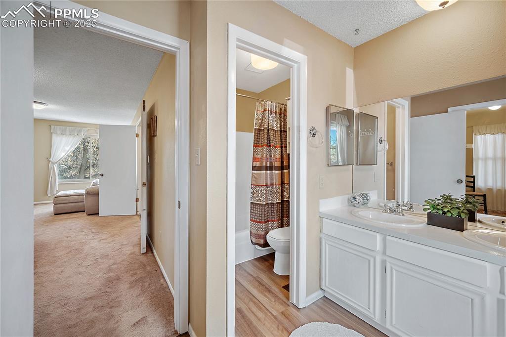 Image 23 of 49: No Description Available