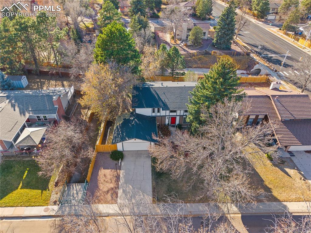 Image 43 of 49: No Description Available