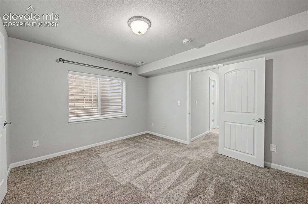 Image 22 of 28: Basement bedroom with a walk-in closet