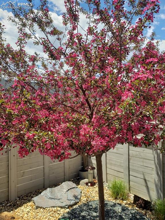 Image 27 of 30: Garage doubles as a man cave