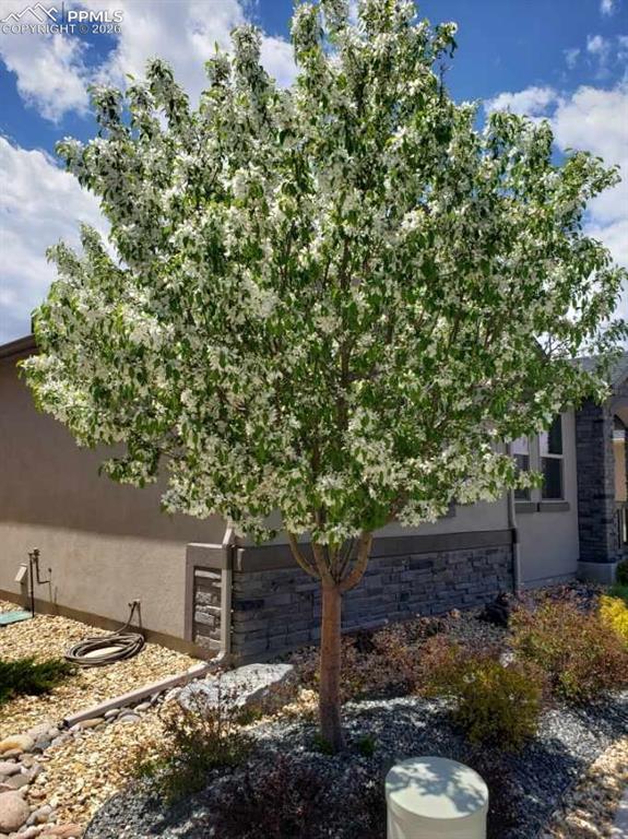 Image 28 of 30: Floor Plan