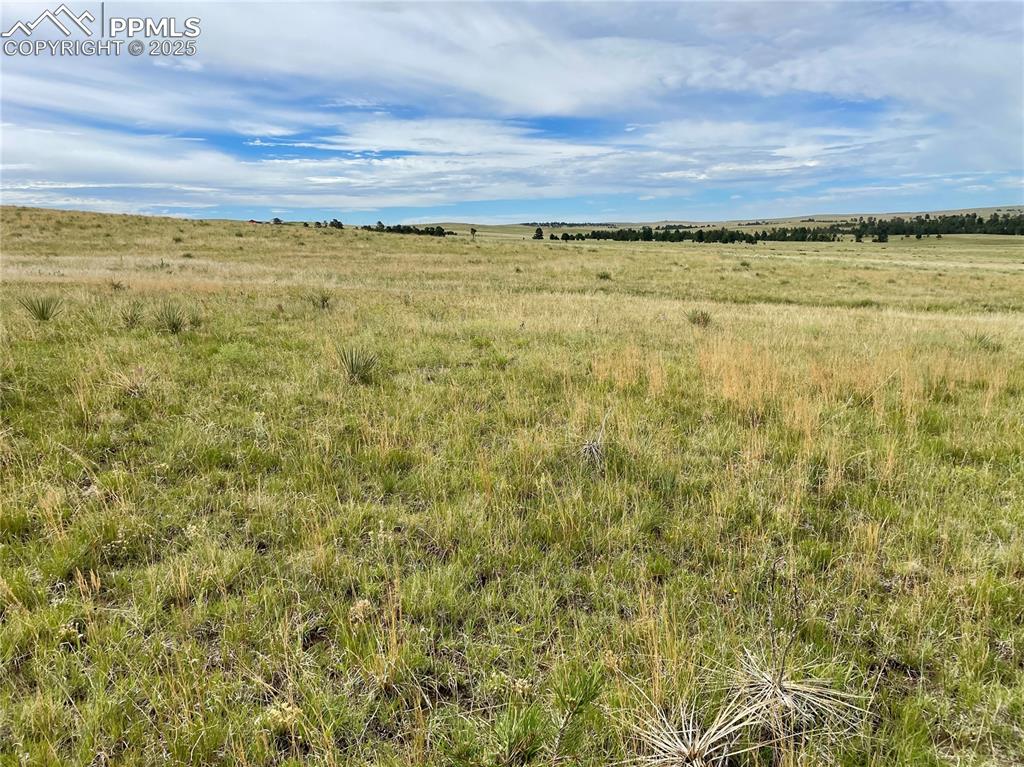 Image 10 of 10: Other