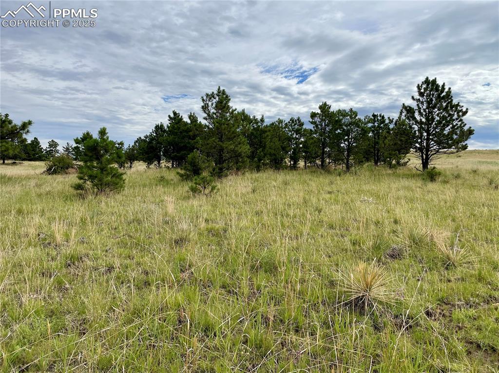 Image 2 of 10: Other