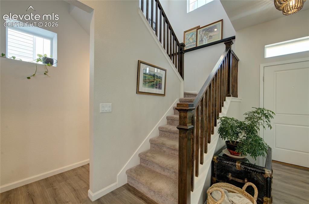 Image 16 of 35: Carpeted staircase with dark wood-finish banister and balusters