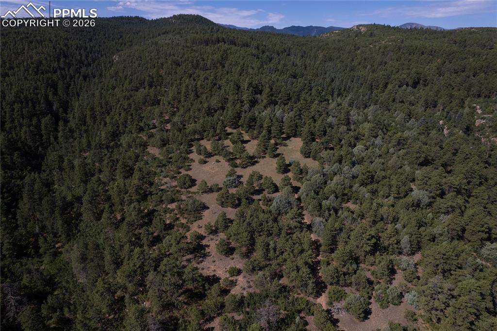 Image 43 of 46: Aerial View