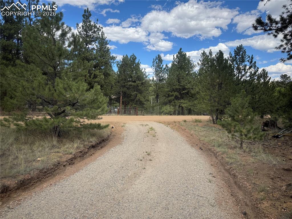 Image 12 of 18: Community