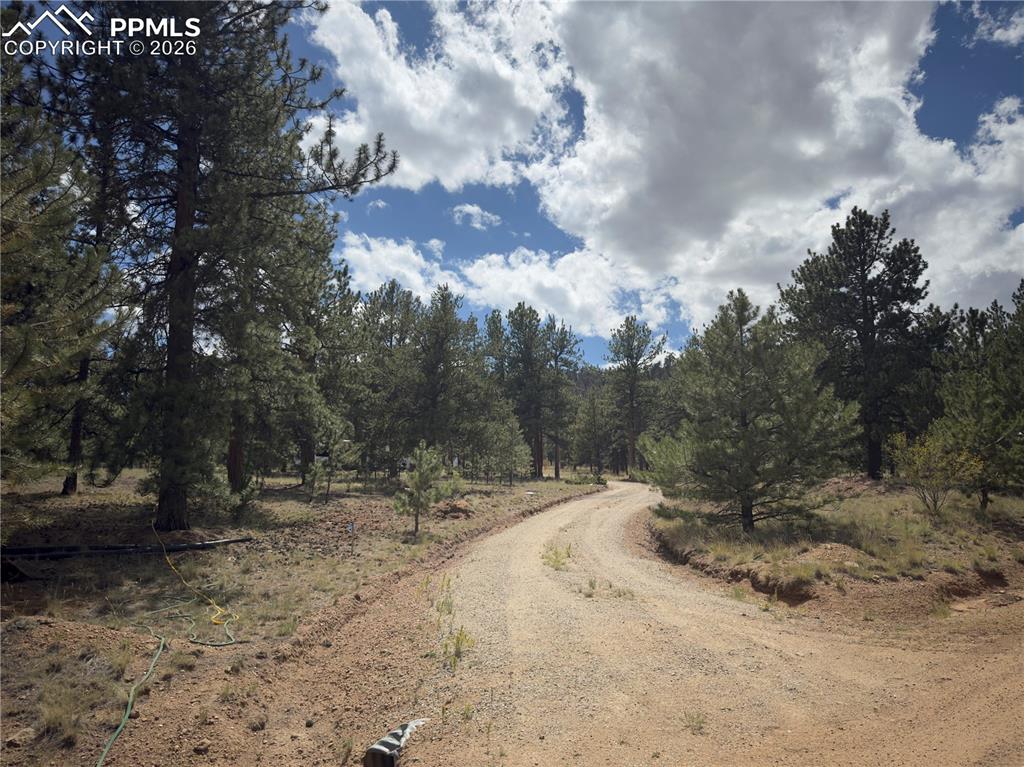 Image 13 of 18: Community