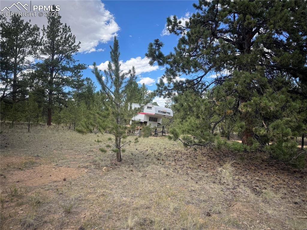 Image 14 of 18: Yard