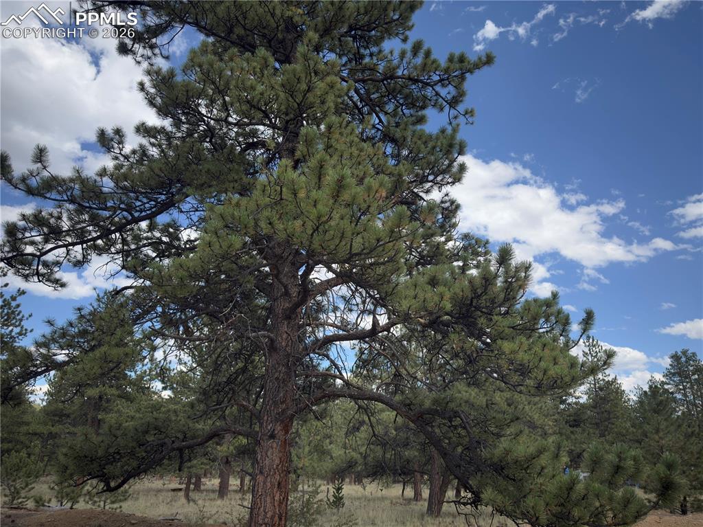 Image 15 of 18: Other