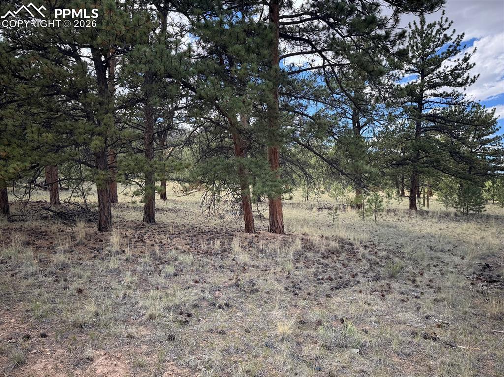 Image 16 of 18: Other