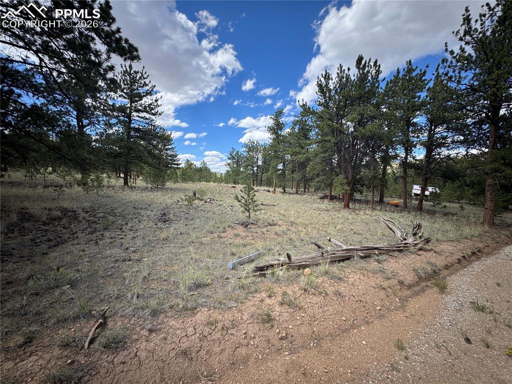 Image 17 of 18: Other