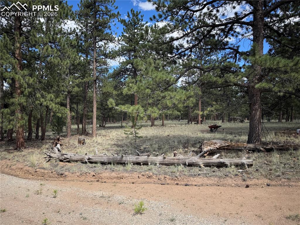 Image 18 of 18: Other