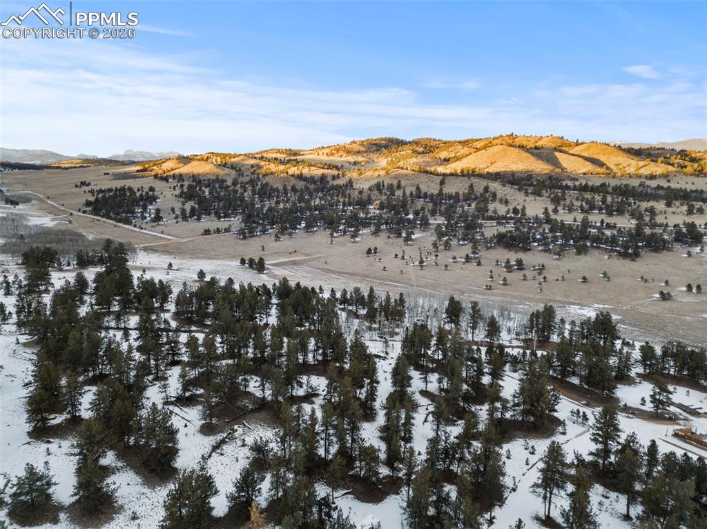 Image 5 of 18: Aerial View