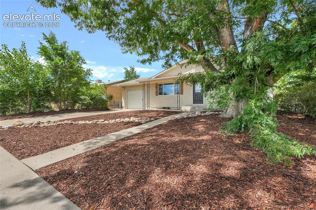 Image 4 of 27: Manicured front yard with extensive bark mulch landscaping, mature shade tr